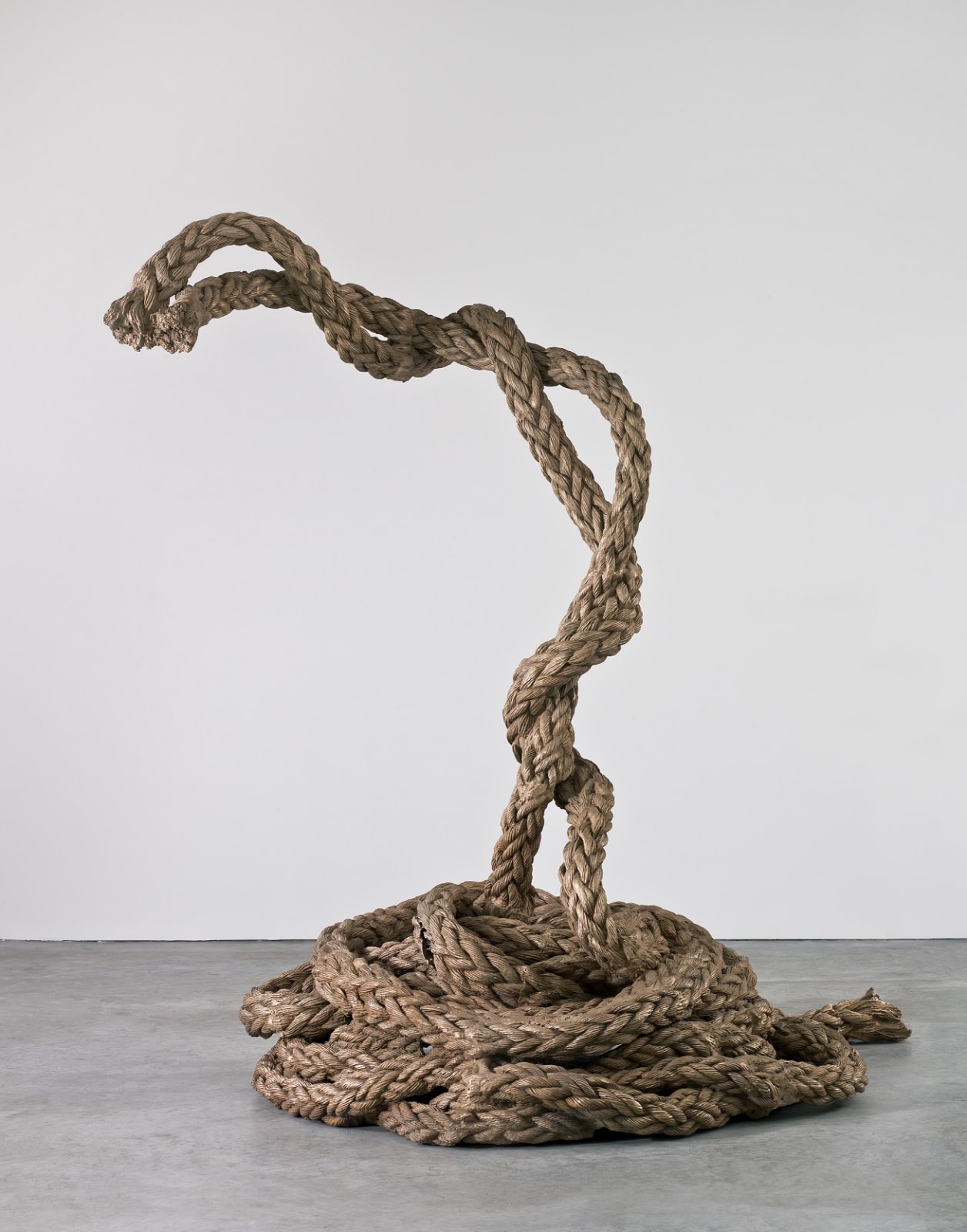 Rope Snakes, Mark Handforth, 2008